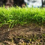 Der Boden – Die Grundlage für unsere Ernährung