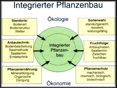 Integrierter Pflanzenbau