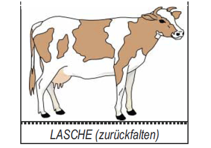 Bastelbogen Kuh + Kalb